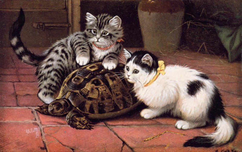 Vykort med katt (färglitografi) av Bernard Cobbe
