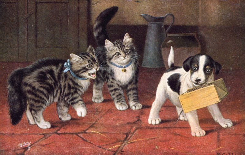 Vykort med katt (färglitografi) av Bernard Cobbe