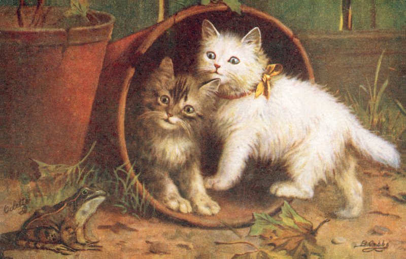 Vykort med katt (färglitografi) av Bernard Cobbe