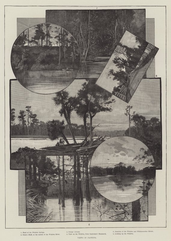 Utsikter i Florida av Charles Auguste Loye