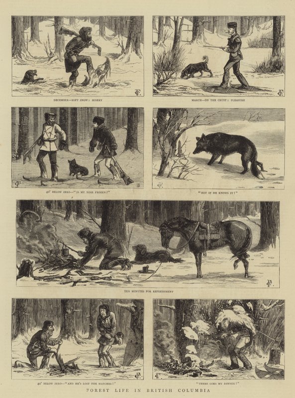Skogsliv i British Columbia av Charles Edwin Fripp