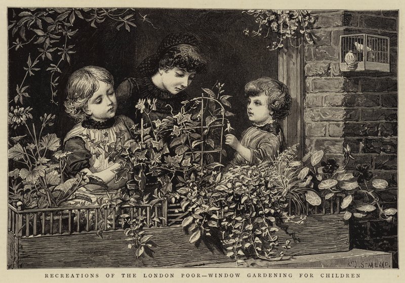 Recreations of the London Poor, Window Gardening for Children av Charles J. Staniland