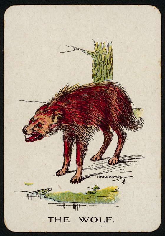 Vargen (färg litho) av Charles A. Buchel
