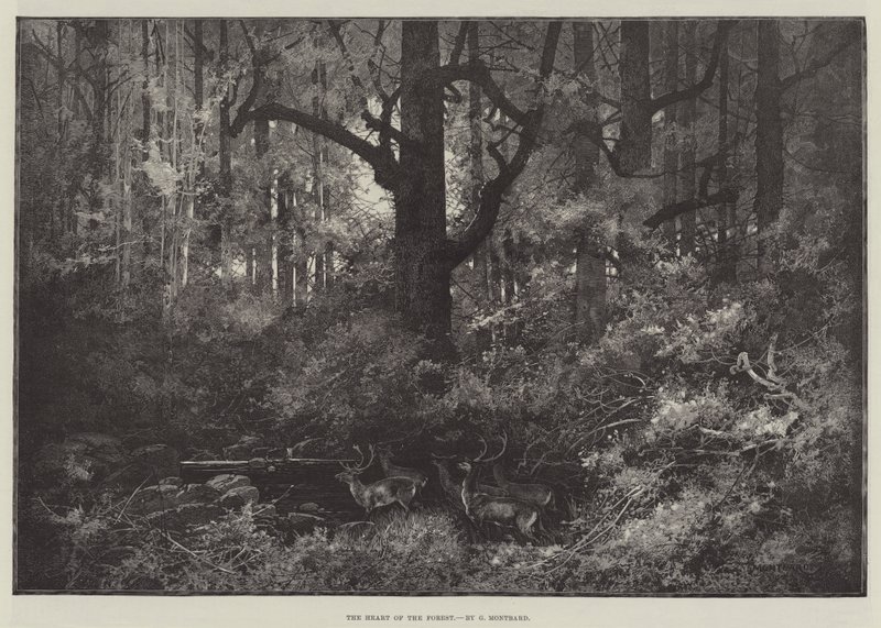Skogens hjärta av Charles Auguste Loye
