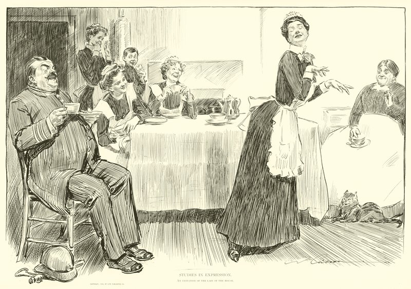 Illustration för The Social Ladder av Charles Dana Gibson