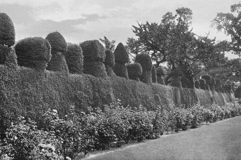 Fulford Hall: Excentriskt topiary Work av Charles Latham