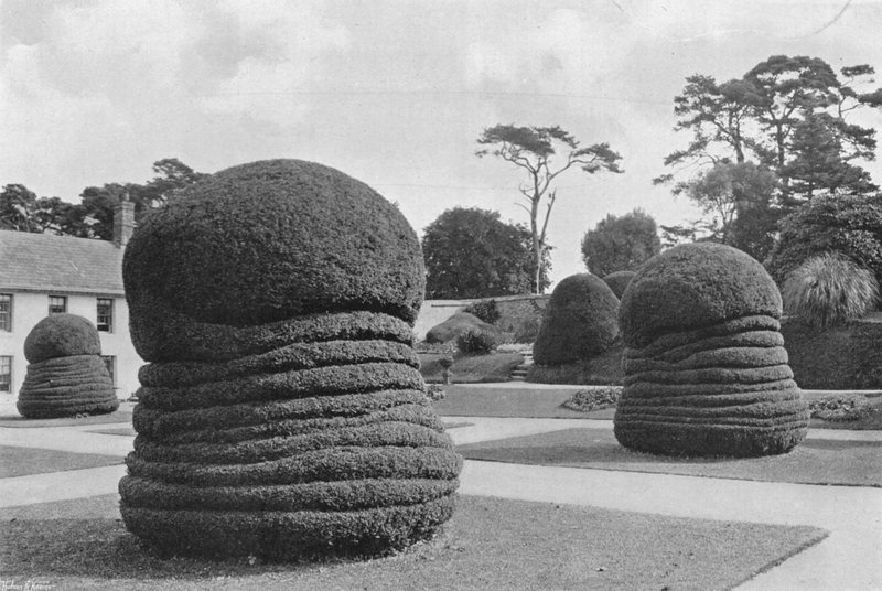 Yews Like Concertinas av Charles Latham