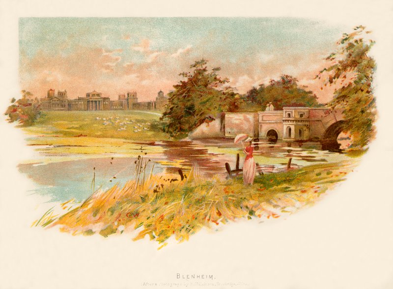 Blenheim av Charles Wilkinson
