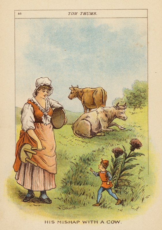 Tom Thumb (färglitografi) av Constance Haslewood