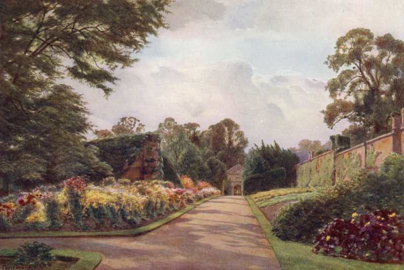 Tidiga krysantemum, Claremont (färg litho) av Cyril Ward
