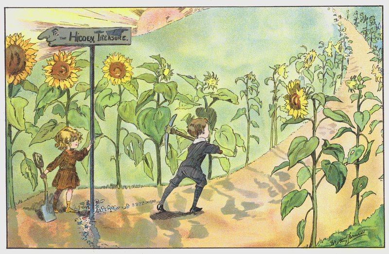 Till den gömda skatten av Dorothy Furniss