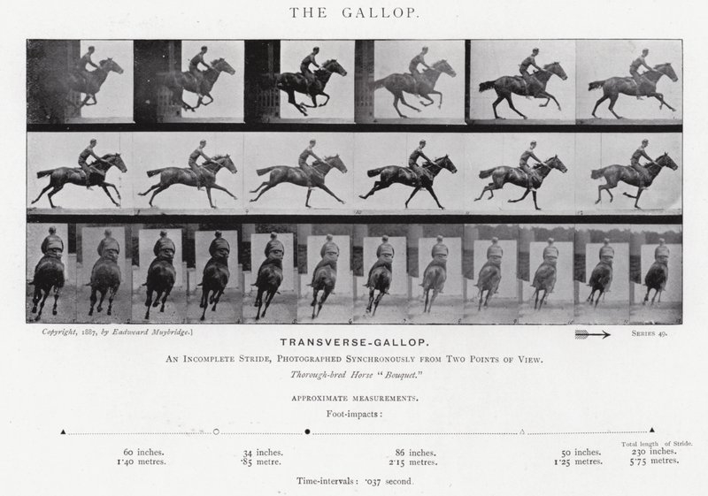 Eadweard Muybridge: The Gallop (s/v foto) av Eadweard Muybridge