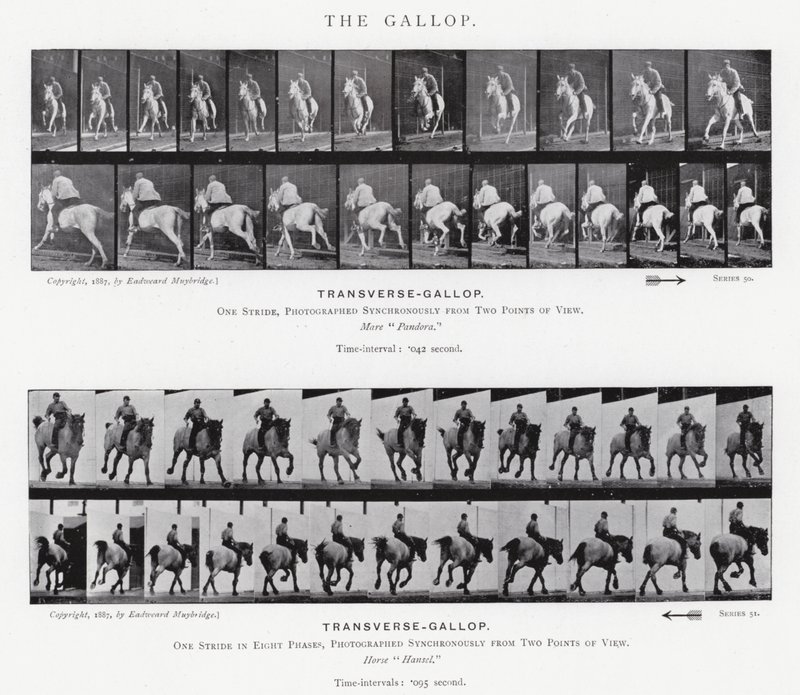 Eadweard Muybridge: The Gallop (s/v foto) av Eadweard Muybridge