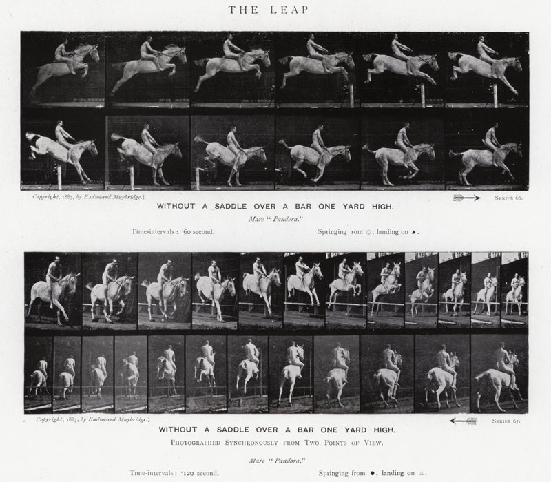 Eadweard Muybridge: The Leap (s/v foto) av Eadweard Muybridge
