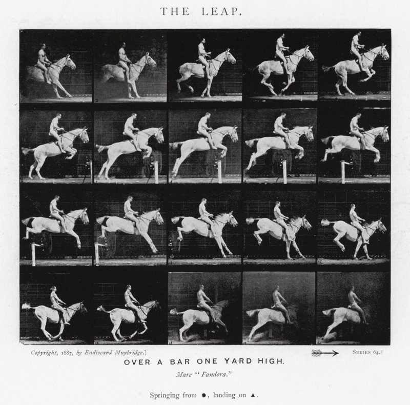 Eadweard Muybridge: The Leap (s/v foto) av Eadweard Muybridge