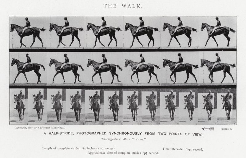 Eadweard Muybridge: The Walk (s/v foto) av Eadweard Muybridge