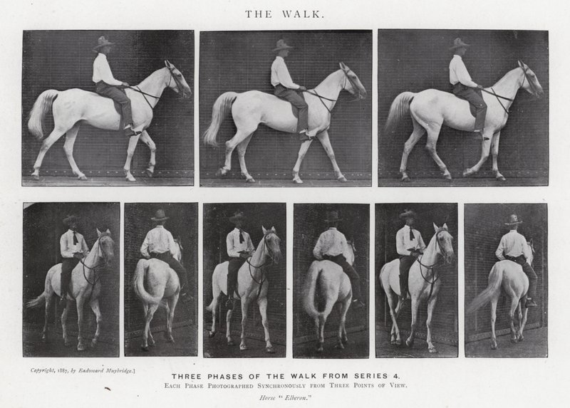 Eadweard Muybridge: The Walk (s/v foto) av Eadweard Muybridge
