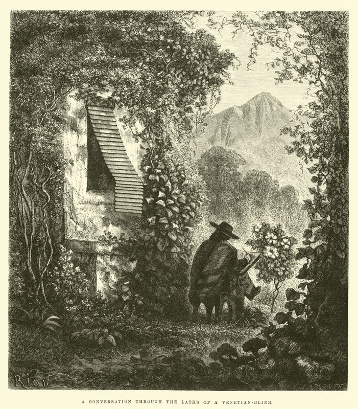 Ett samtal genom en venetiansk persienns laths av Edouard Riou
