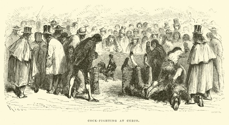 Tuppkamp i Cuzco av Edouard Riou