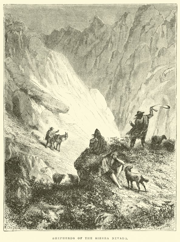 Herdar i Sierra Nevada av Edouard Riou