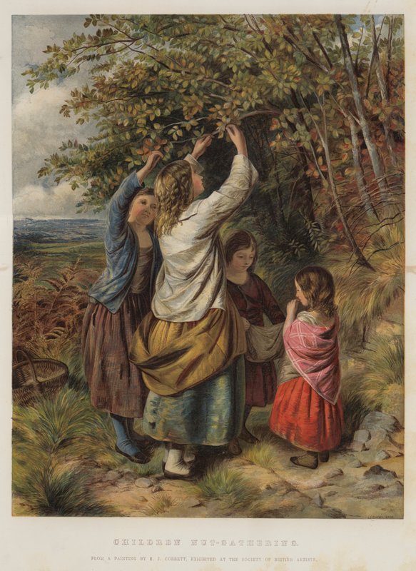 Barn som samlar nötter av Edward John Cobbett