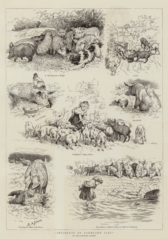 Incidenter i Farmyard Life av Edward Killingworth Johnson