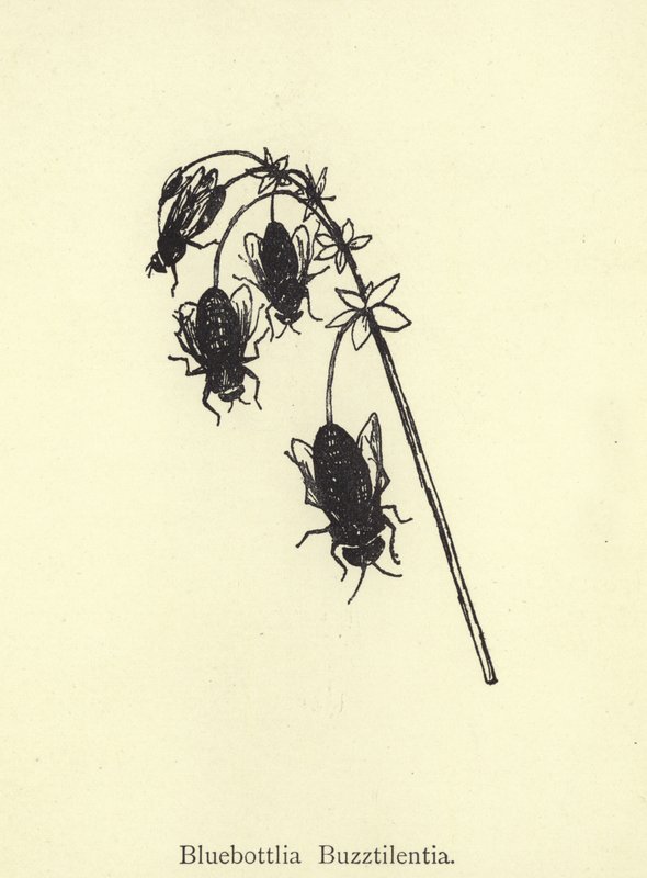 Bluebottlia Buzztilentia av Edward Lear
