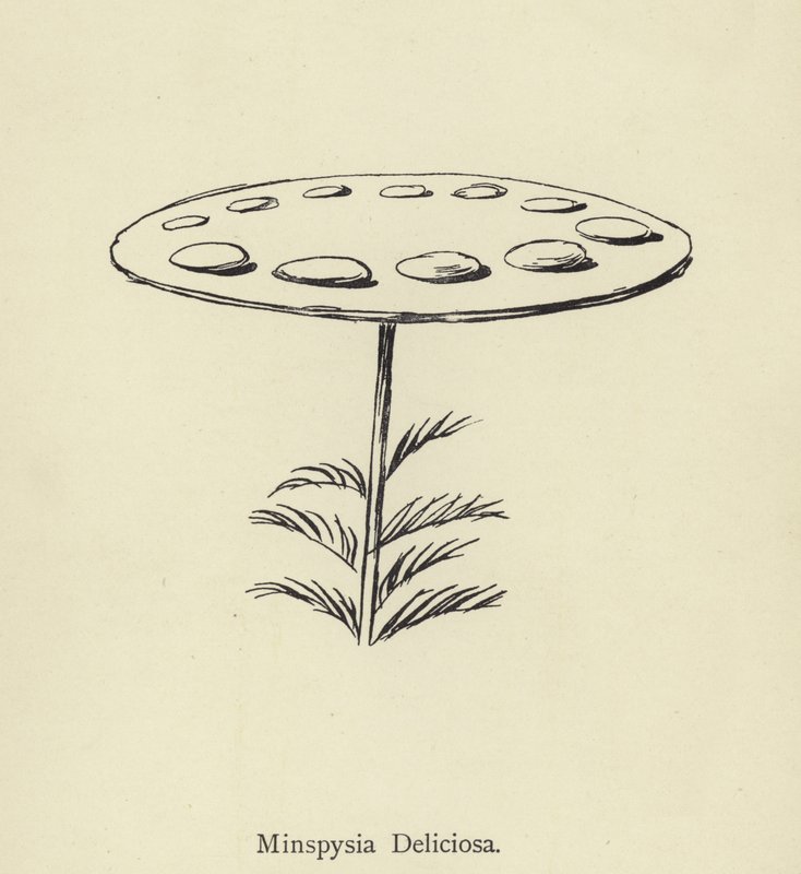 Utsökt Minspysia av Edward Lear