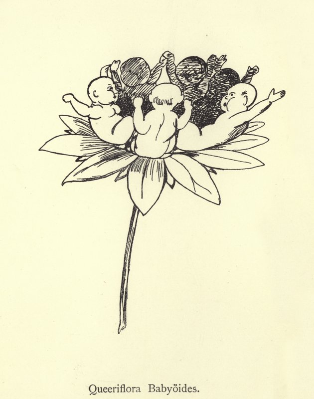 Queeriflora babyoides av Edward Lear