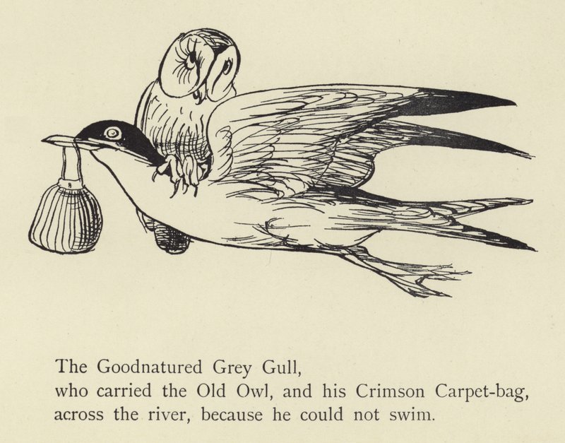 Den godmodiga gråmåsen av Edward Lear