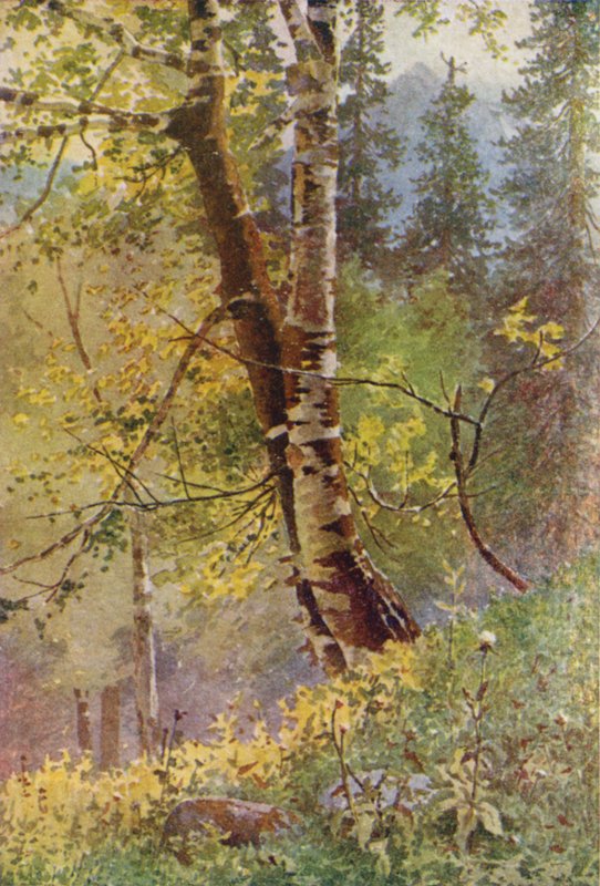 I skogen av Edward Mary Joseph Molyneux