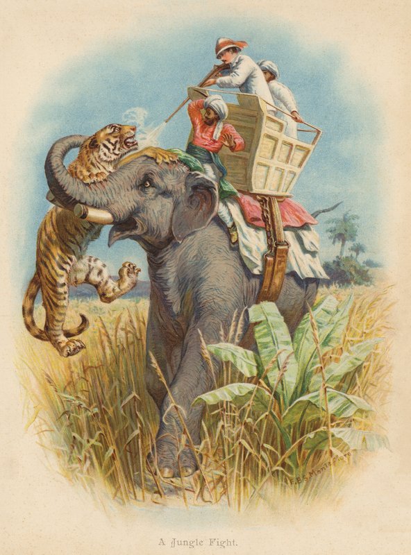En djungelkamp (färglitografi) av Edward Brice Montefiore