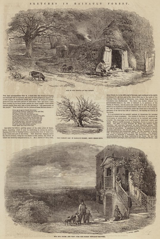 Skisser i Hainault Forest av Edward Duncan