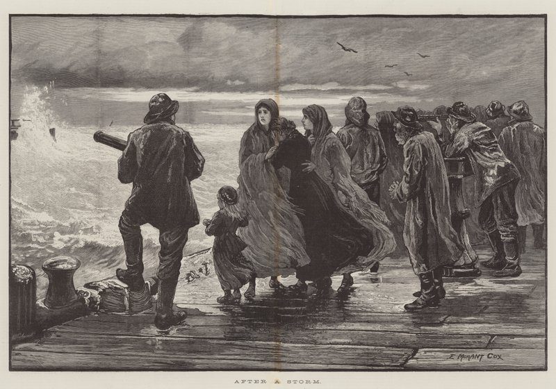 Efter en storm av Edward Morant Cox