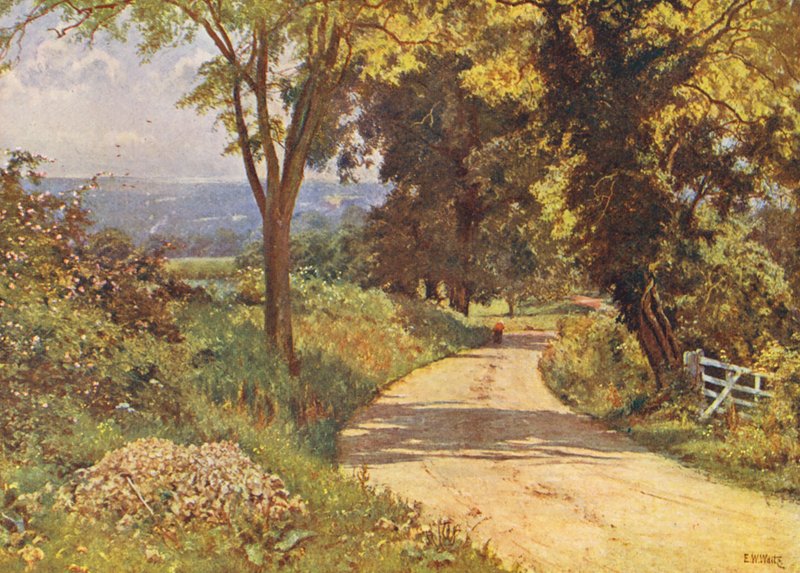 Min väg (färglitografi) av Edward Wilkins Waite