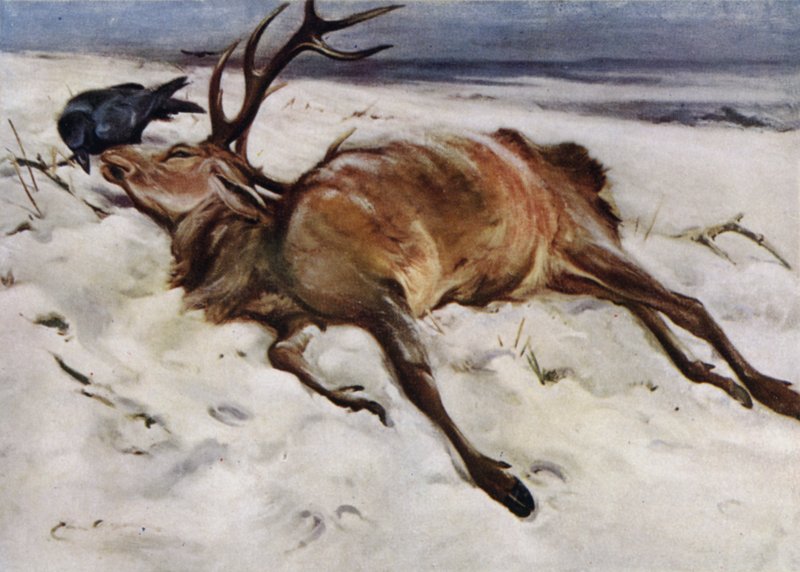 Den döda hjorten av Edwin John Alexander