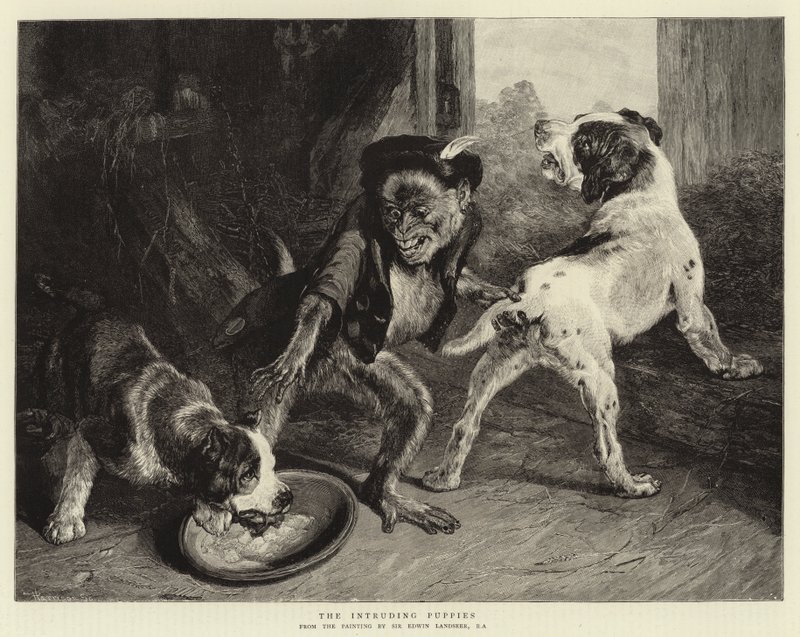 De inträngande valparna av Edwin Landseer
