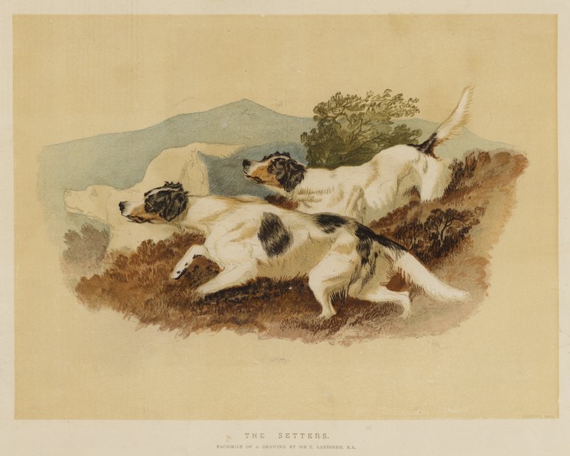 De som ställer upp av Edwin Landseer