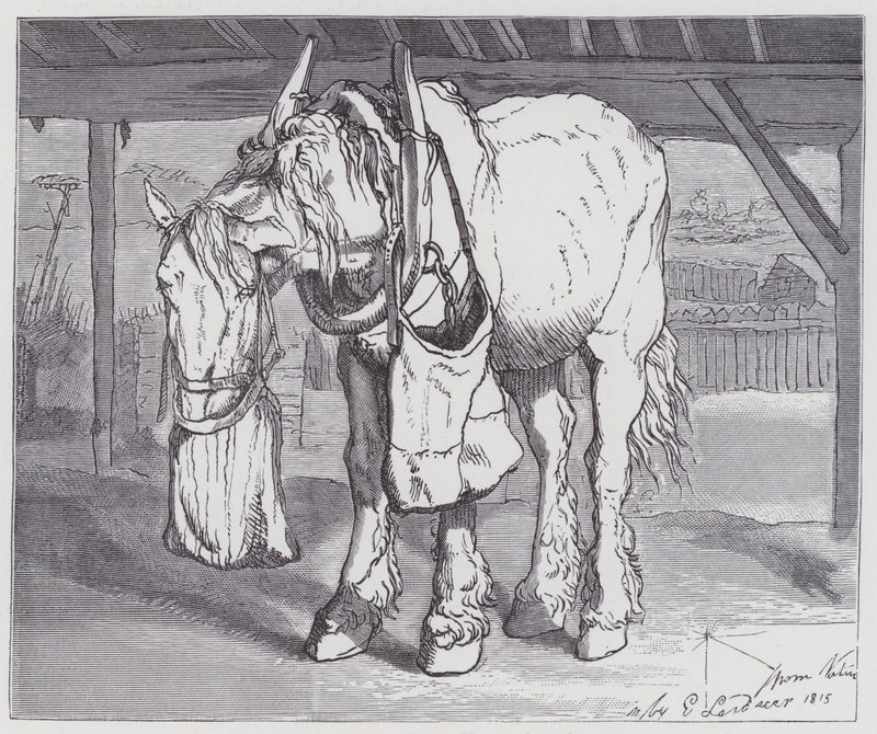En vagnhäst av Edwin (after) Landseer