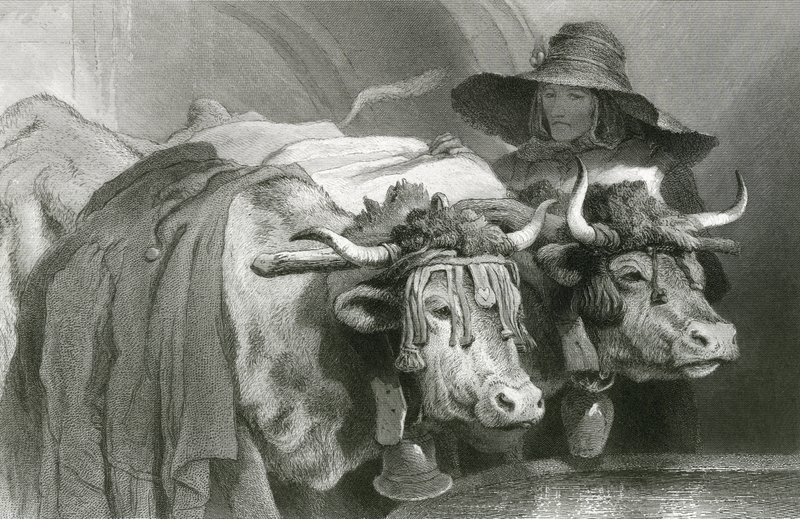 Oxar vid tanken, Genève (gravyr) av Edwin (after) Landseer