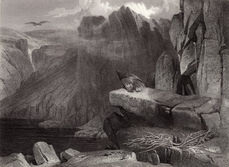 Örnboet av Edwin Landseer