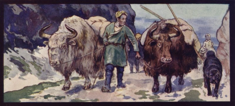 A Thibetan Yak Train (färgmedlemmar) av Edwin Noble