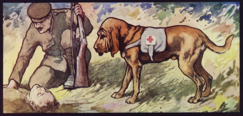 Ambulans Bloodhound av Edwin Noble