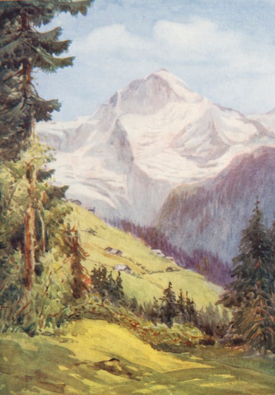 Schweiz av Effie Jardine