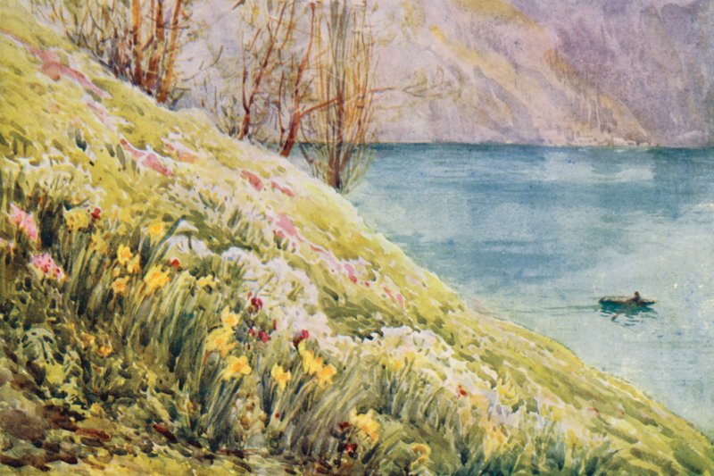 Schweiz av Effie Jardine