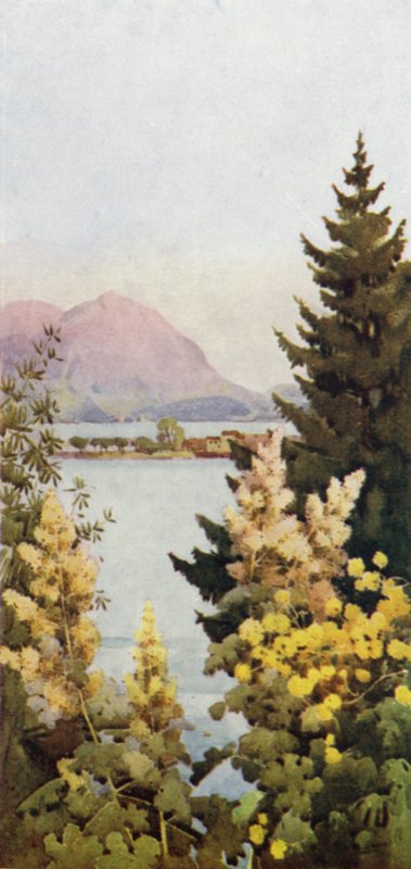 En trädgård (färg litho) av Ella Du Cane