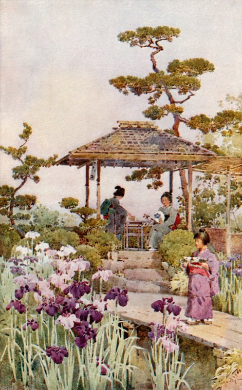 An Iris Garden (färg litho) av Ella Du Cane