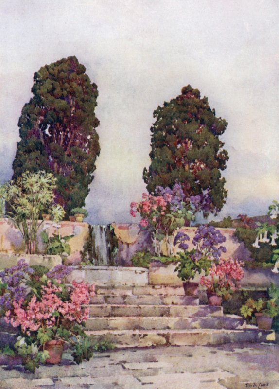 Botaniska trädgården, Orotava (färgmedlemmar) av Ella Du Cane