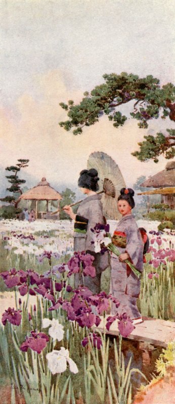 Iris, Horikiri (färg litho) av Ella Du Cane