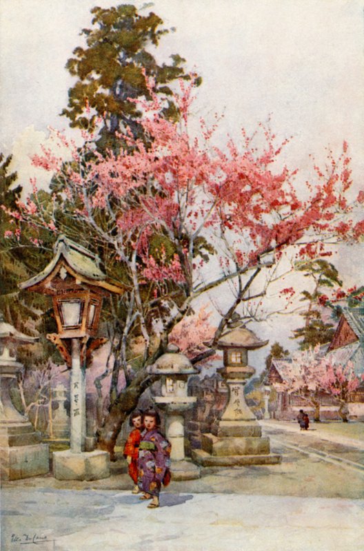 Plommonblommor och lyktor (färg litho) av Ella Du Cane